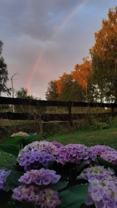 Poggenhagen Urlaub Mitten In Der Natur Neustadt am Rübenberge エクステリア 写真