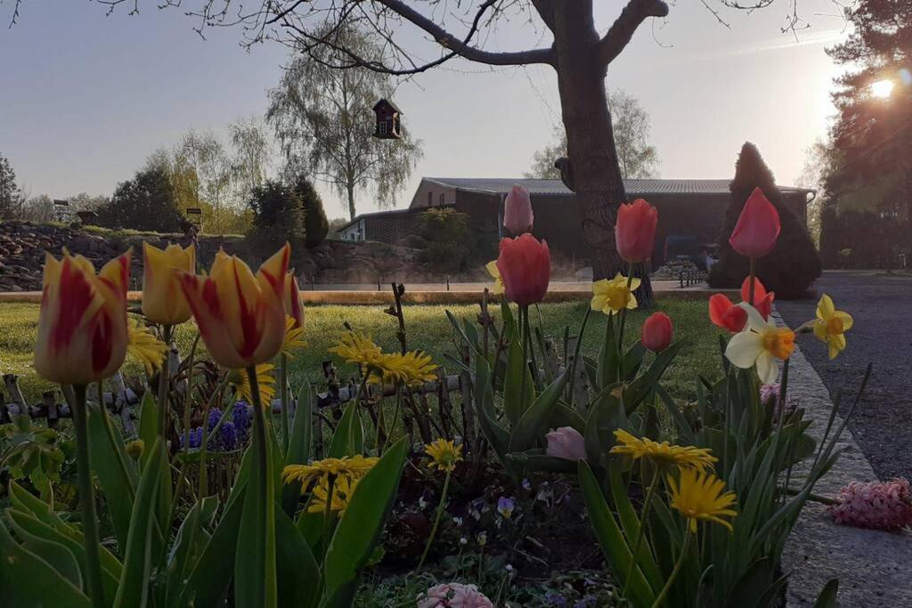 Poggenhagen Urlaub Mitten In Der Natur Neustadt am Rübenberge エクステリア 写真